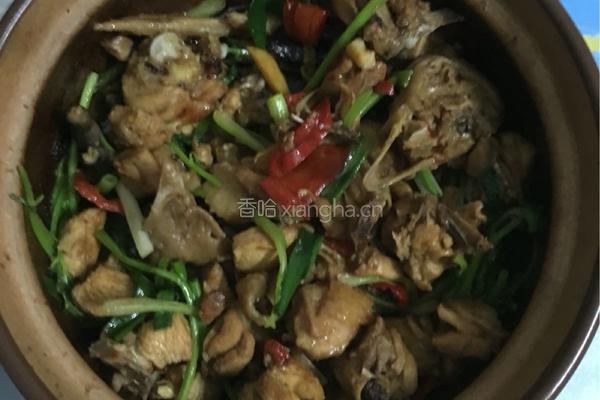 砂锅鸡煲的做法图解5