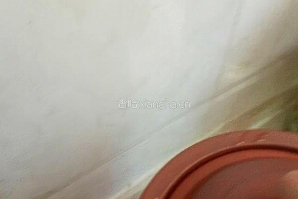 牛奶燕麦粥 的做法图解4