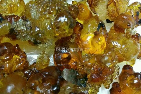 养生奶香桃树胶的做法图解1