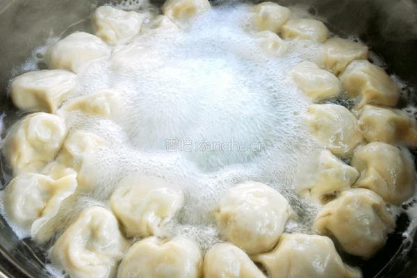 猪肉韭菜水饺的做法图解16