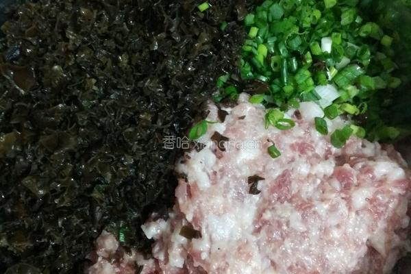 木耳猪肉馅包子的做法图解7