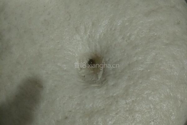 木耳猪肉馅包子的做法图解12