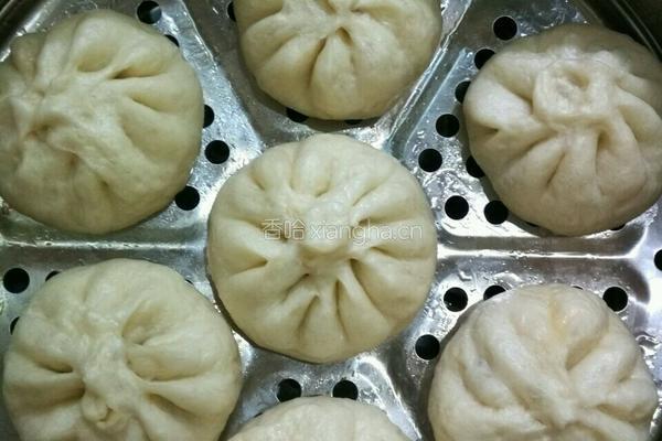 木耳猪肉馅包子的做法图解19
