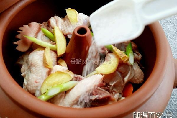 汽锅鸡的做法图解5