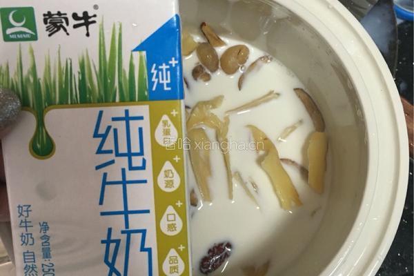 牛奶炖花胶的做法图解4