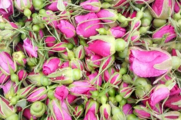 玫瑰花饼的做法图解2