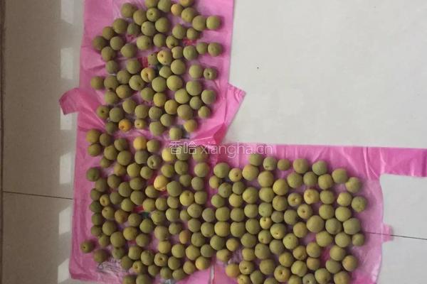 青梅煮酒的做法图解4