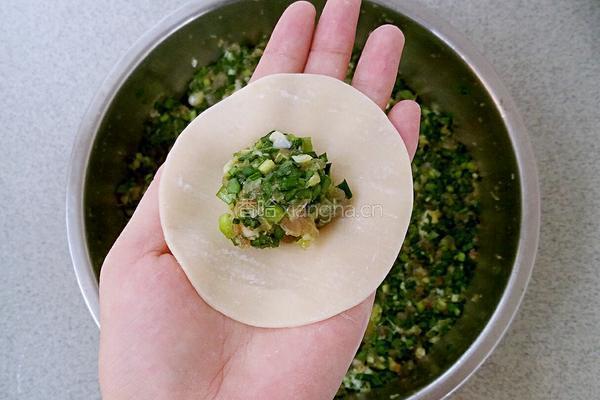 韭菜猪肉饺子的做法图解6