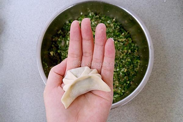 韭菜猪肉饺子的做法图解7