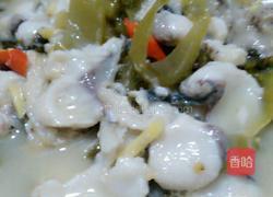 酸菜鱼的做法图解8