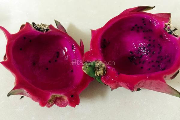 火龙果沙拉的做法图解4