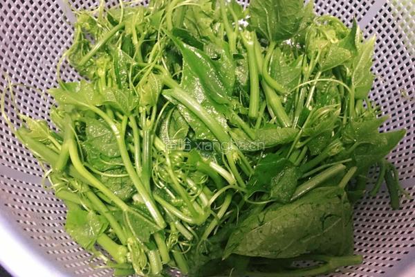 蒜香龙须菜的做法图解2