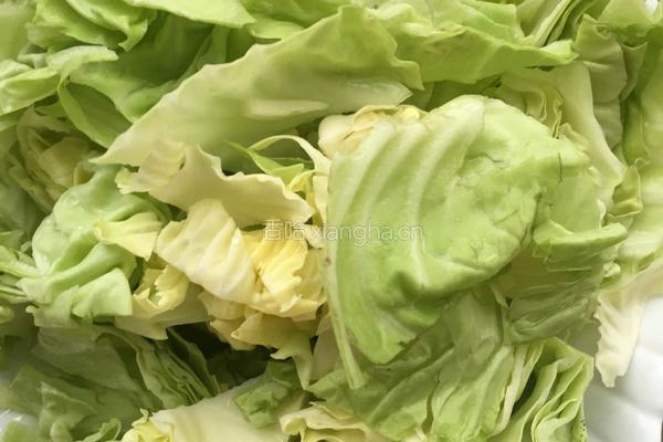 陈醋圆白菜的做法图解1