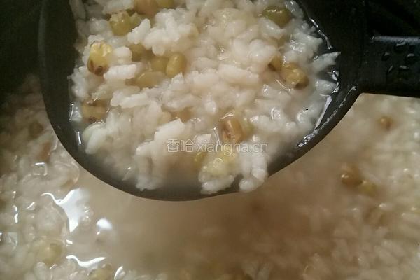 绿豆粥的做法图解4