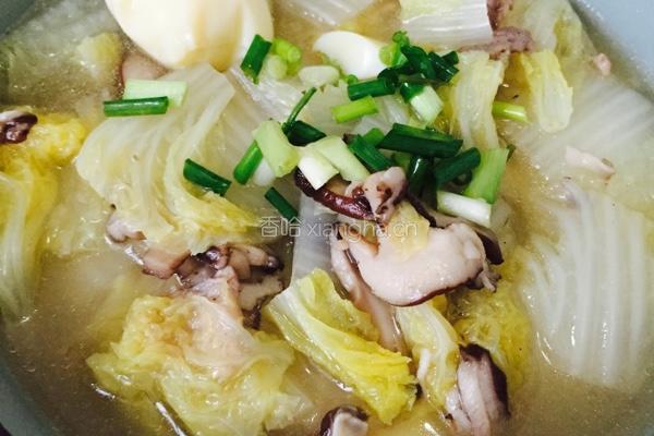 泰式白菜香菇鸡汤的做法图解5