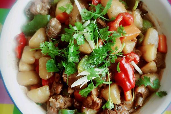土豆烧鸡块的做法图解12