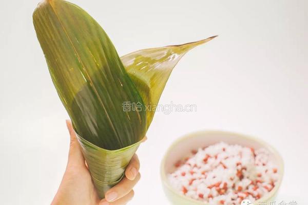 红豆粽子的做法图解4