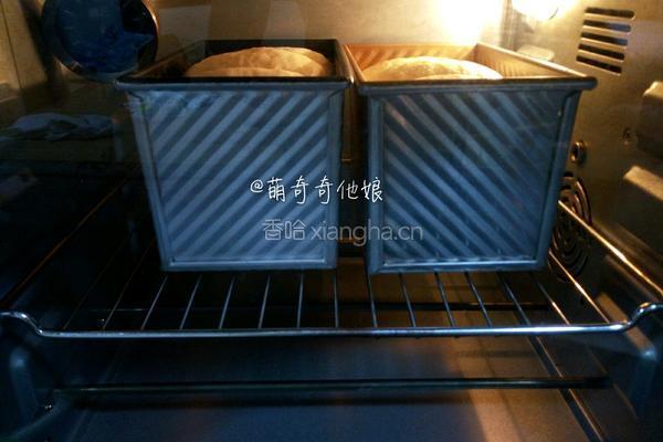 淡奶油土司（冷藏中种法）的做法图解16