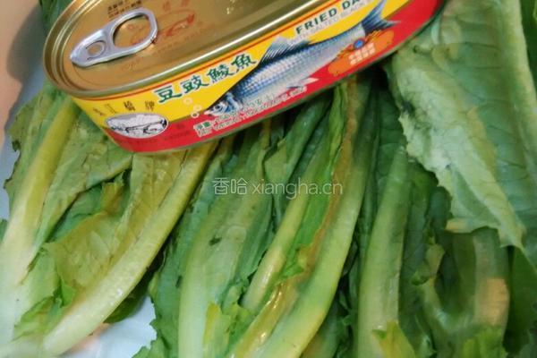 豆豉鯪魚炒油麥菜的做法图解1