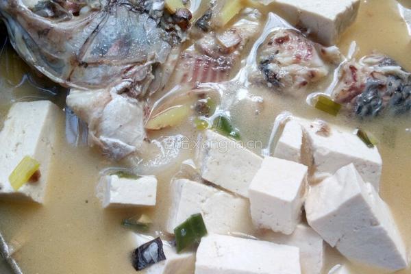 豆腐鲫鱼汤的做法图解13