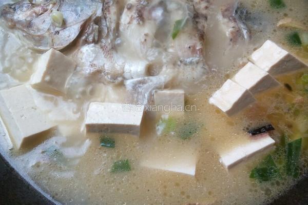豆腐鲫鱼汤的做法图解9