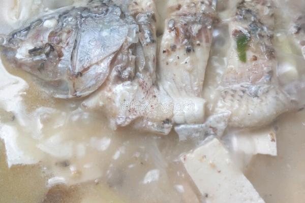 豆腐鲫鱼汤的做法图解10