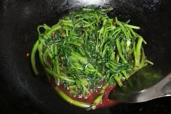 腐乳汁空心菜的做法图解7