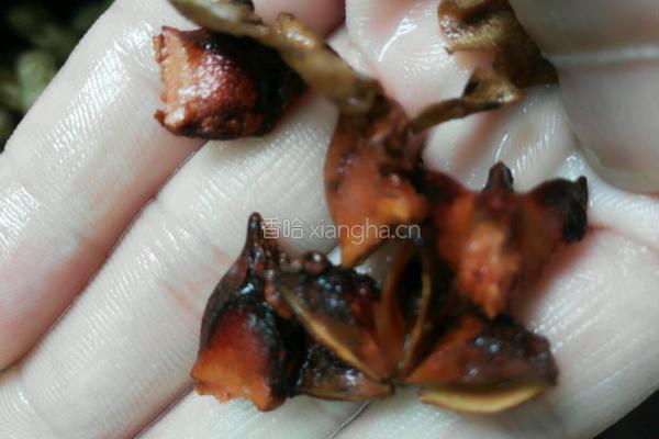 水煮花生的做法图解3