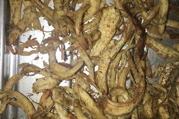 麻辣鸡丝的做法图解4