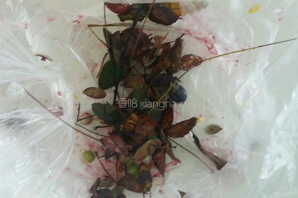 蓝莓酱的做法图解1
