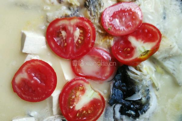 雄鱼豆腐汤的做法图解5