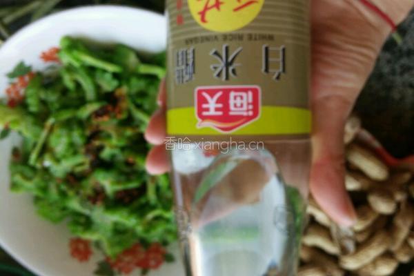 凉拌苦瓜的做法图解6