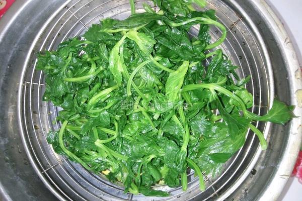 凉拌芹菜叶的做法图解3