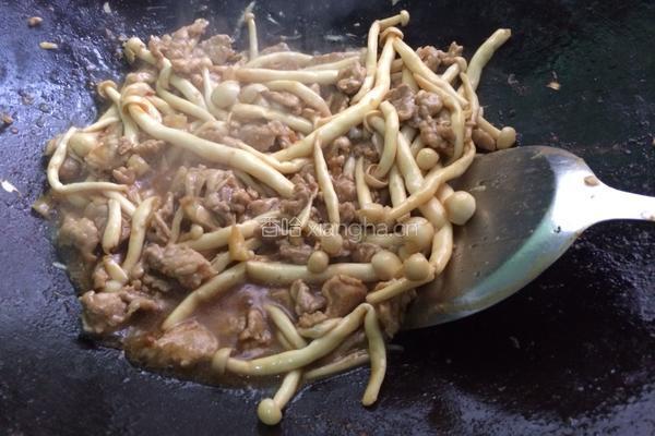 海鲜菇炒瘦肉的做法图解9