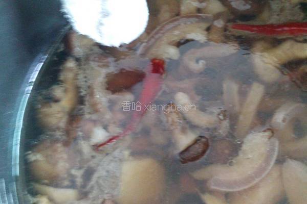 山药香菇炖驴肉（简单版）的做法图解5