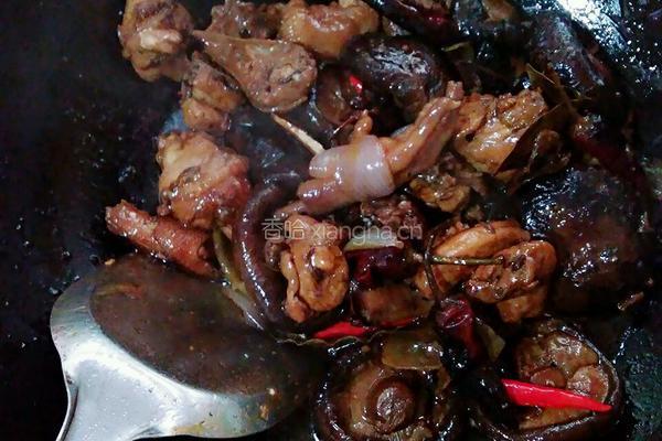 香菇焖鸡的做法图解5