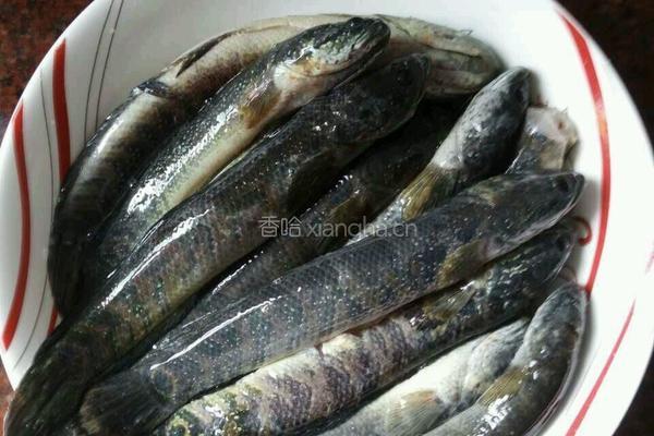 薏米煮鱼汤的做法图解4