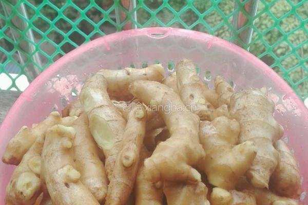 红枣红糖枸杞姜膏的做法图解1