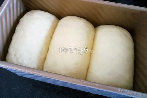 蛋黄土司（冷藏中种法）的做法图解15