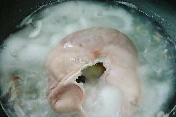 芸豆猪肚汤的做法图解3