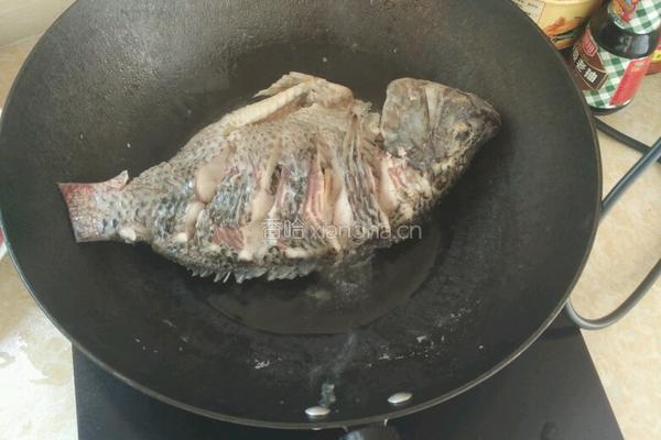 清煎煮福寿辣椒鱼的做法图解4