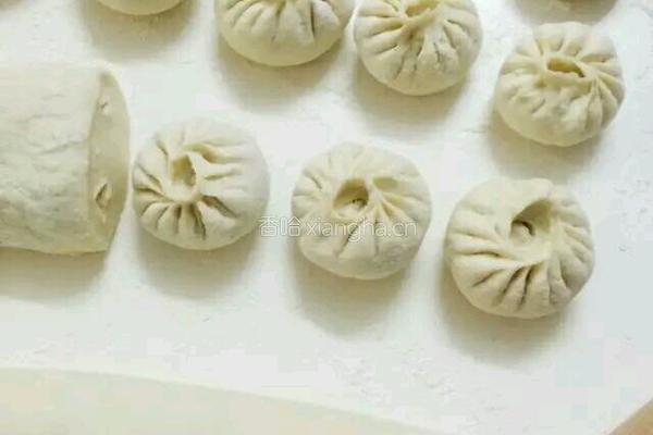 酸菜肉包的做法图解6