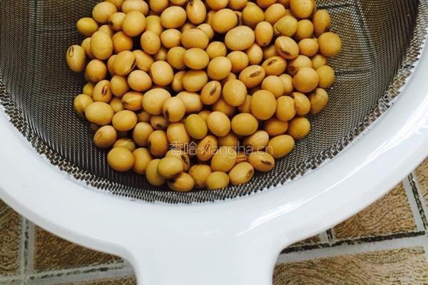 黄豆原味豆浆的做法图解2