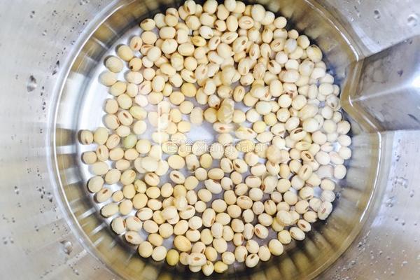 黄豆原味豆浆的做法图解5
