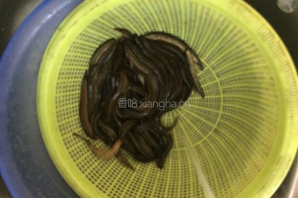 双椒炒泥鳅的做法图解2