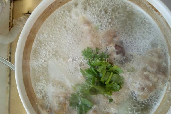 砂锅羊肉冬瓜汤的做法图解7