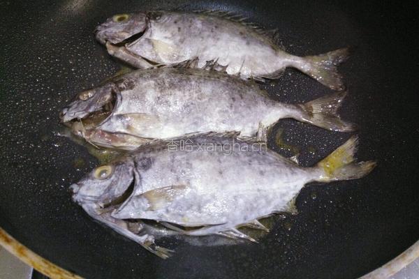 香煎泥猛鱼的做法图解3