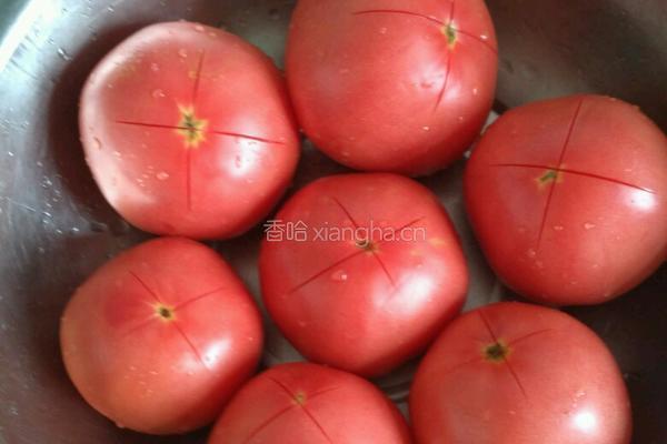 蕃茄酱的做法图解2