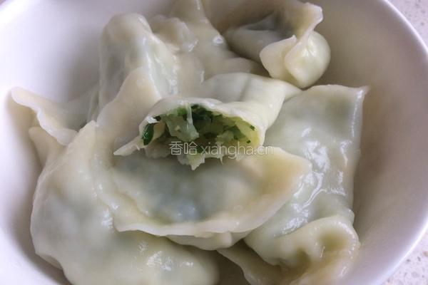 韭菜白萝卜素水饺