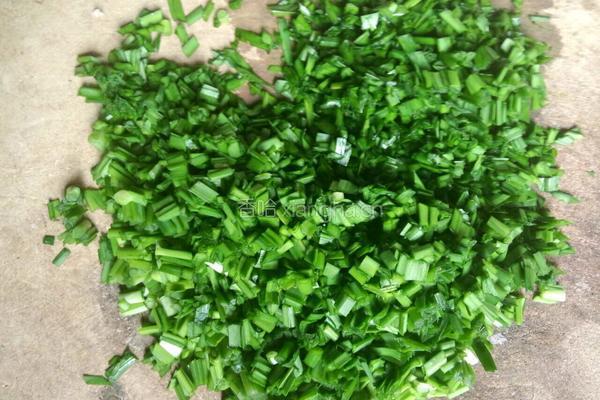肉松韭菜饼的做法图解1
